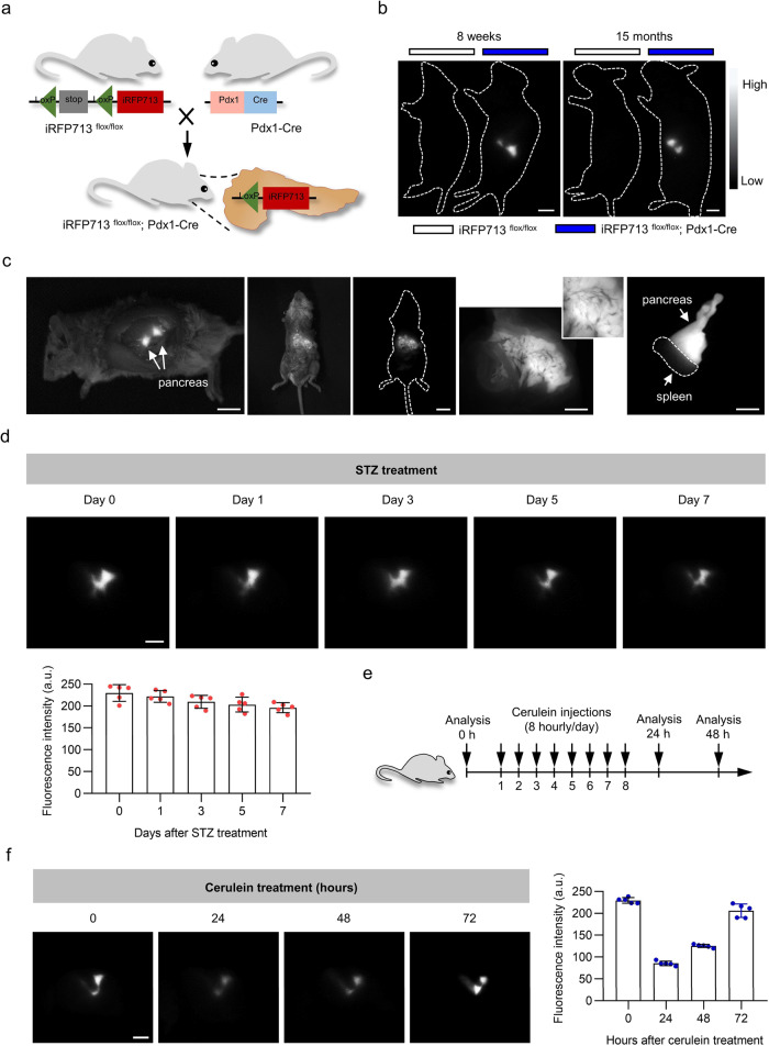 Fig. 4