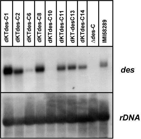 FIG. 6.