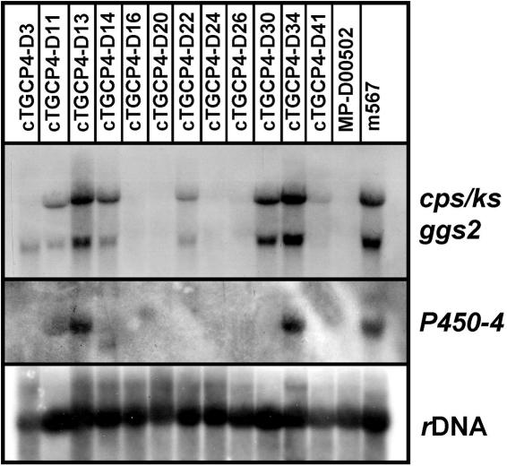 FIG. 5.