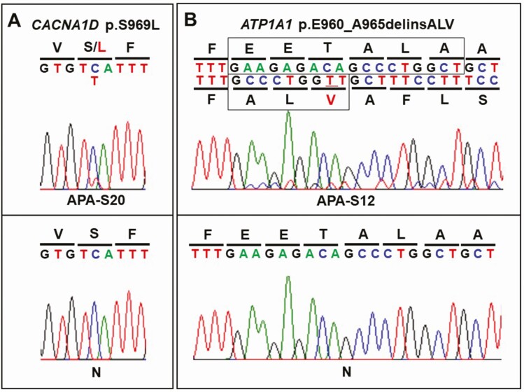 Figure 1.