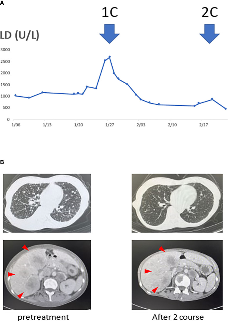 Figure 1