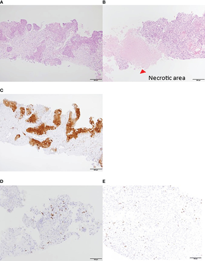 Figure 2