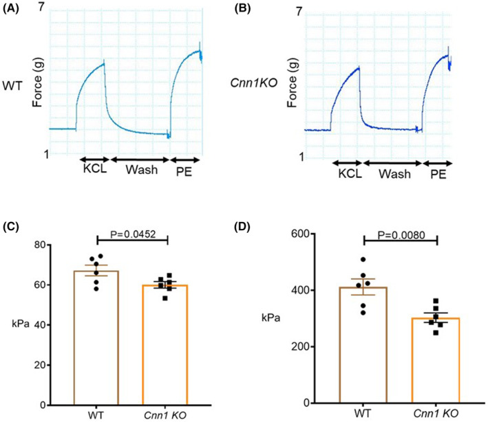 FIGURE 3