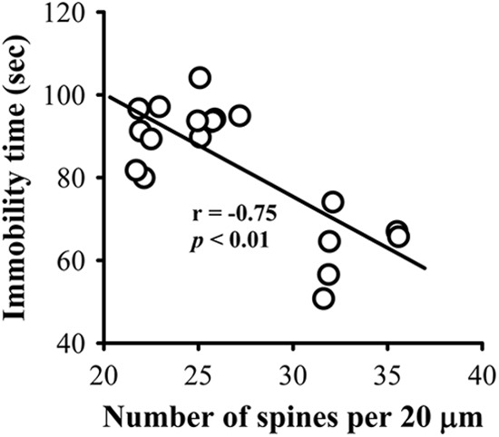 FIGURE 11.