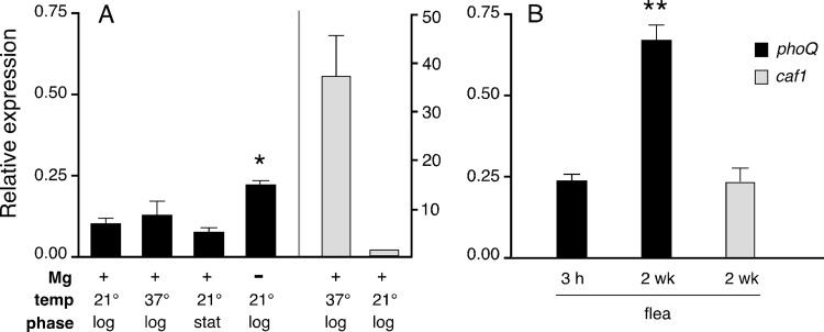 Fig 5