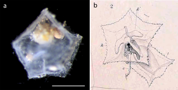 Figure 11.