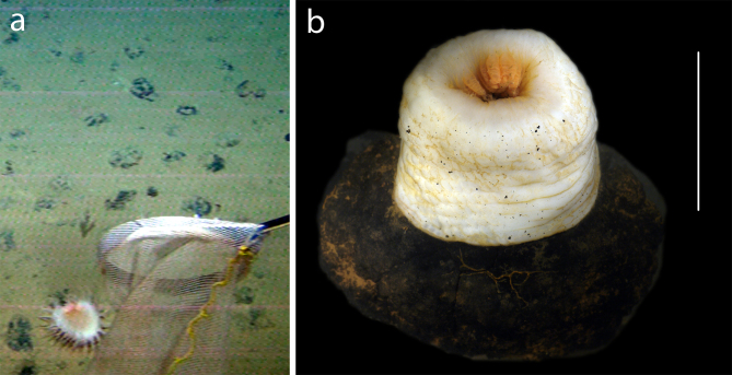 Figure 10.