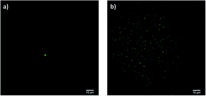 Fig. 9