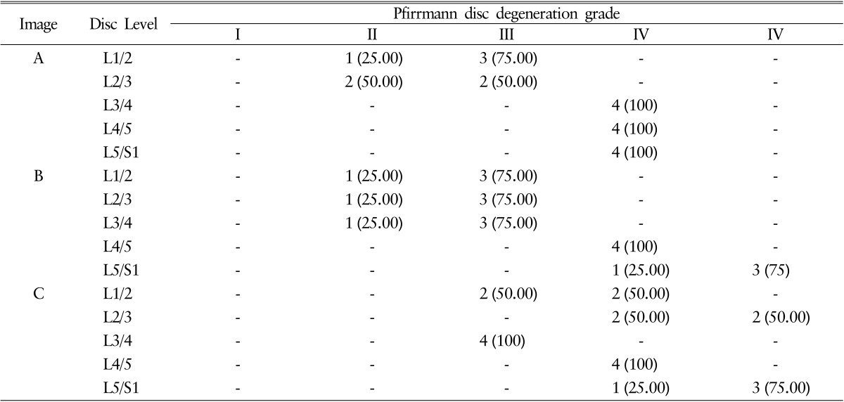 graphic file with name kjs-13-1-i003.jpg