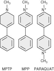 Fig.6.1