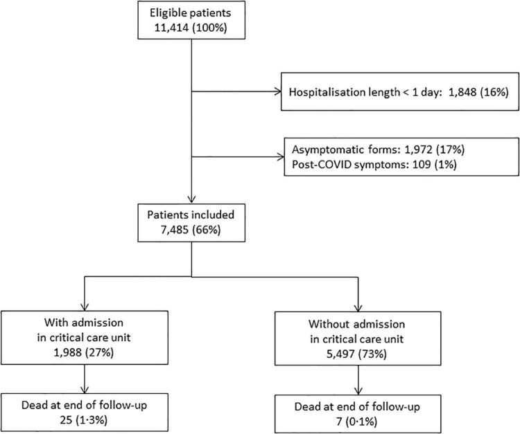 FIGURE 1