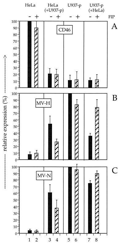 FIG. 7