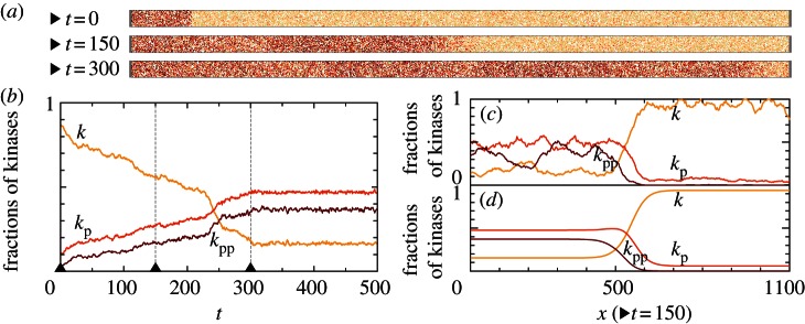 Figure 5.