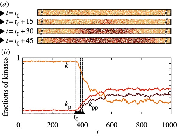 Figure 6.