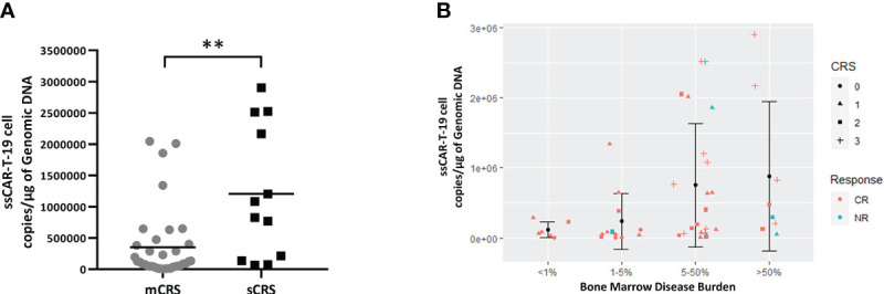 Figure 7