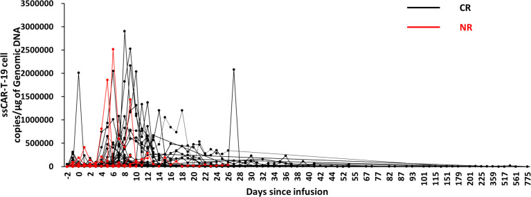 Figure 6