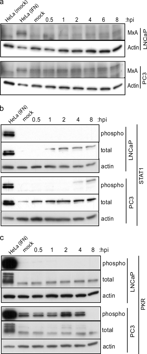 FIG. 8.