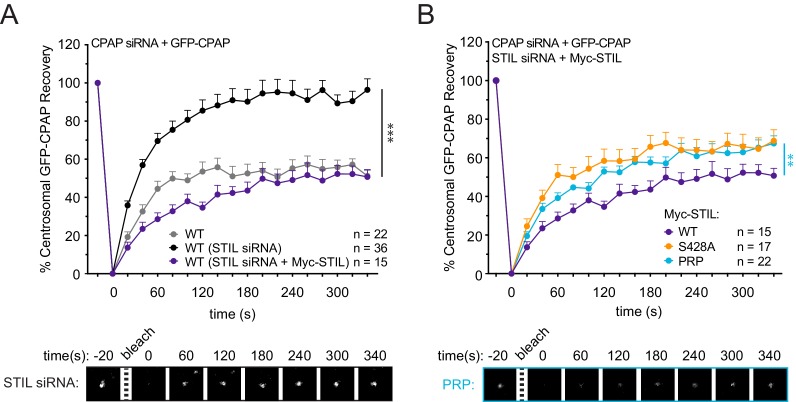 Figure 4—figure supplement 2.