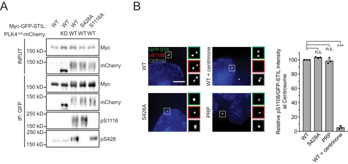 Figure 3—figure supplement 4.