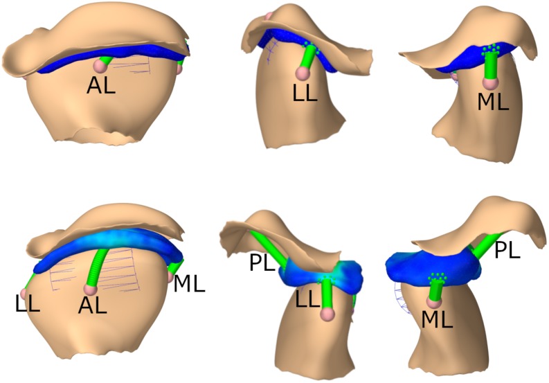 FIGURE 2