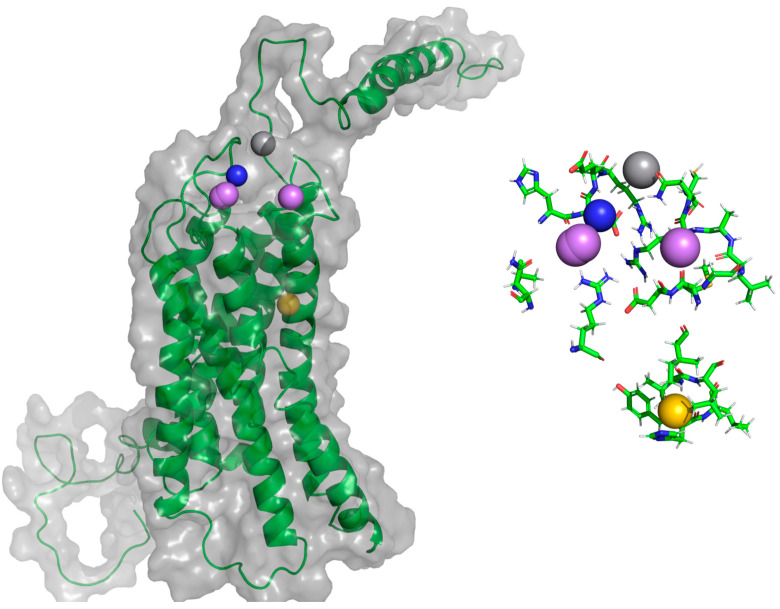 Figure 21