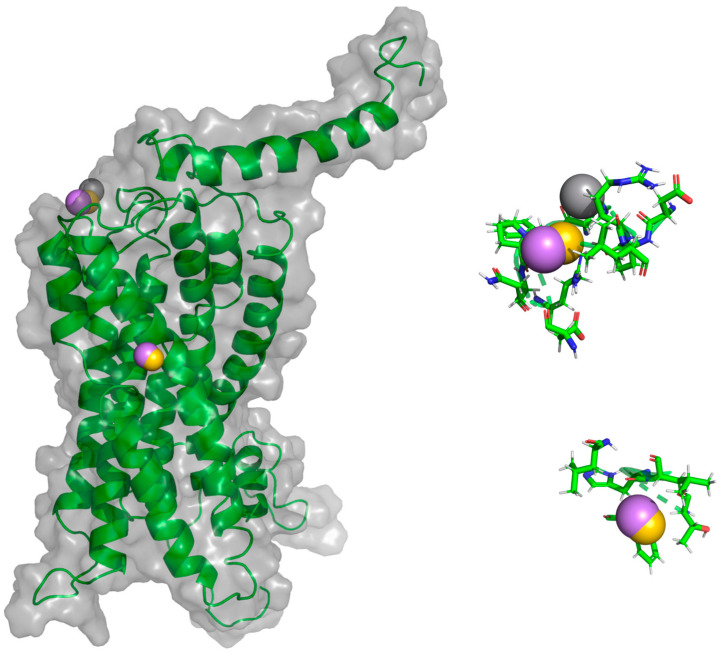 Figure 22