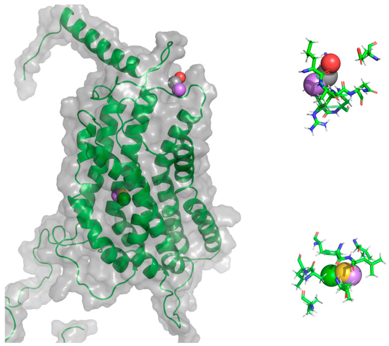 Figure 23