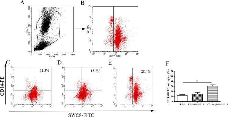 Fig 6