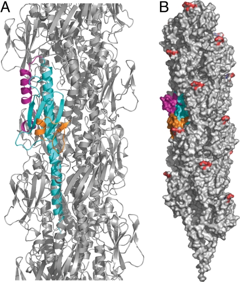 Fig. 3.