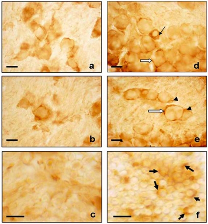 Fig. (2)