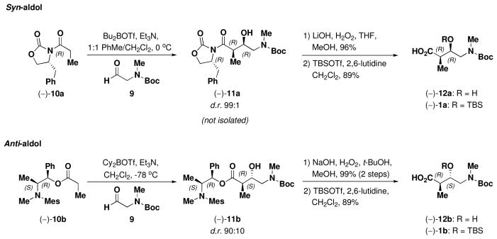 Scheme 1