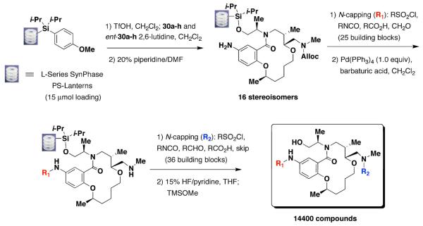 Scheme 3