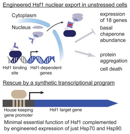 graphic file with name nihms787608u1.jpg