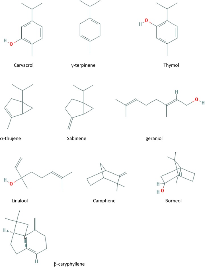 Figure 1.