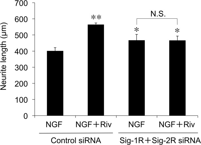 Fig 9