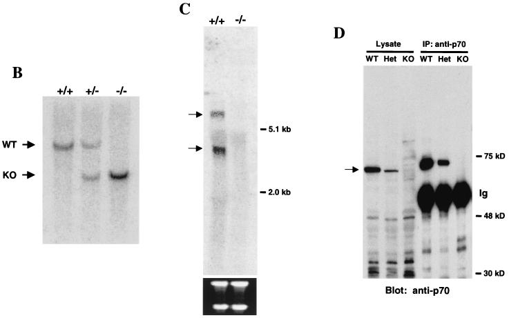 FIG. 5.