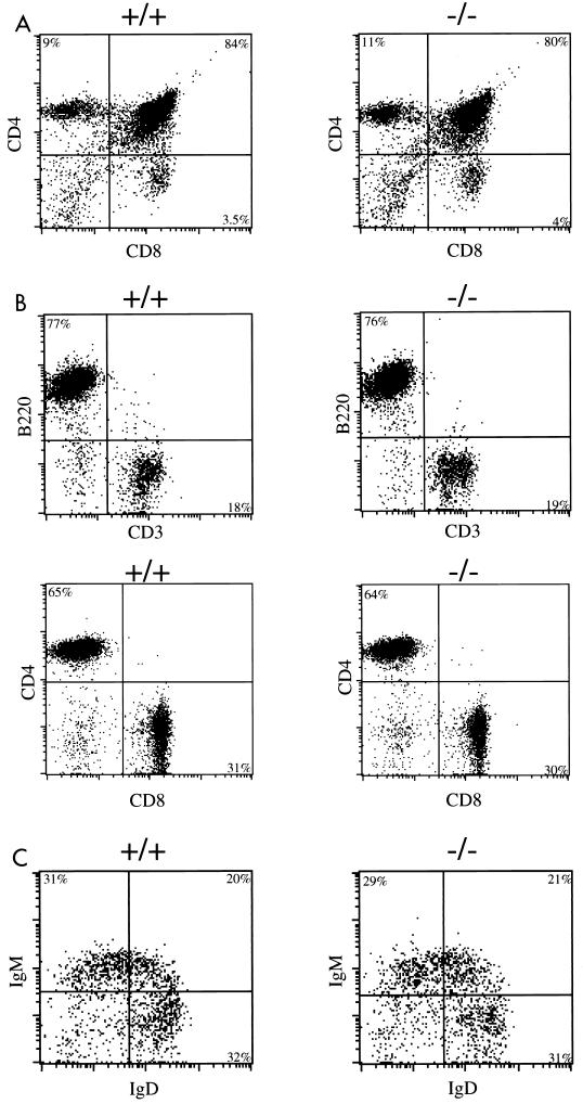 FIG. 6.