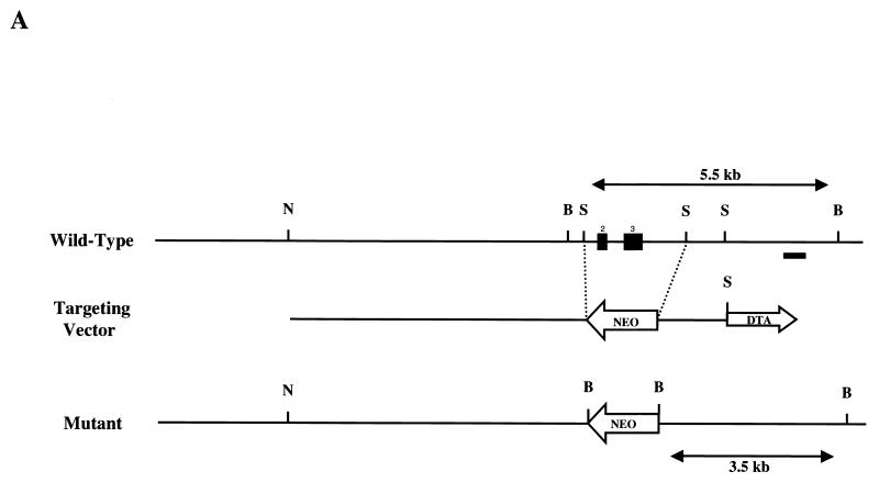 FIG. 5.