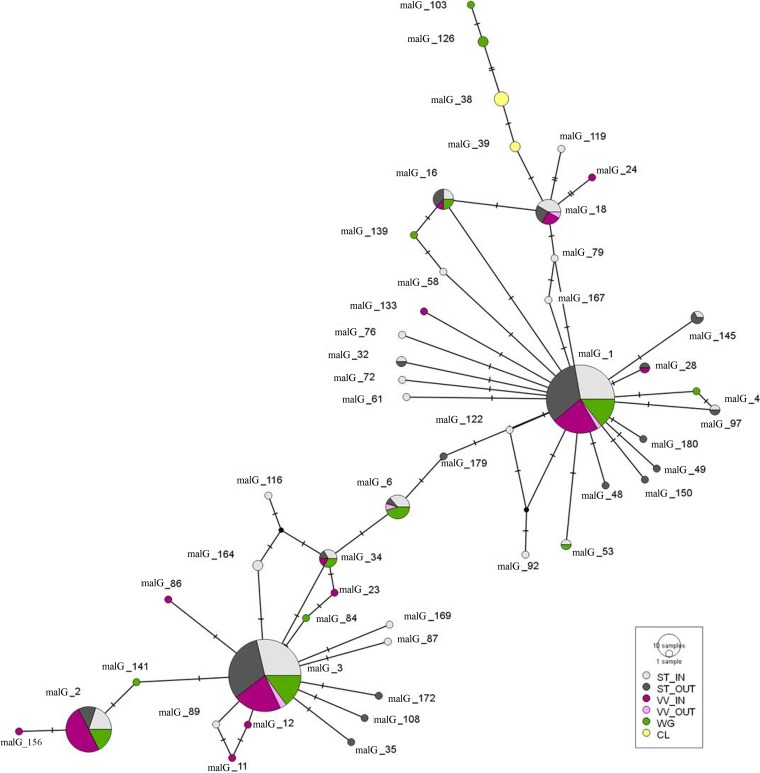 FIG 3