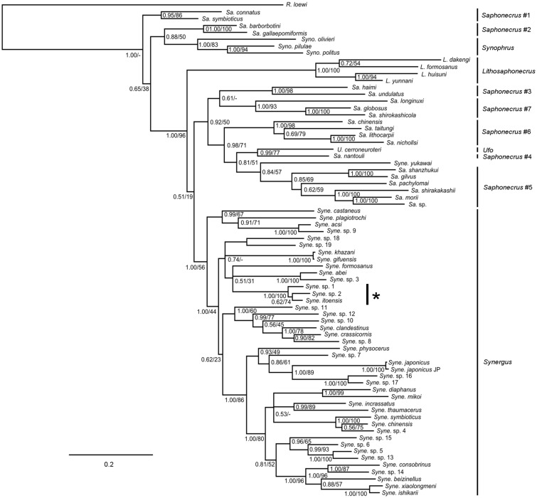 Fig. 2.