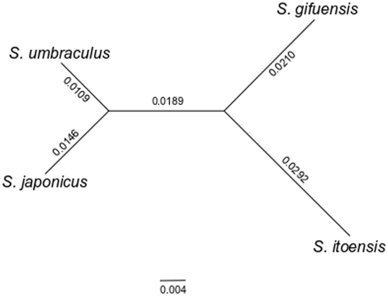 Fig. 3.