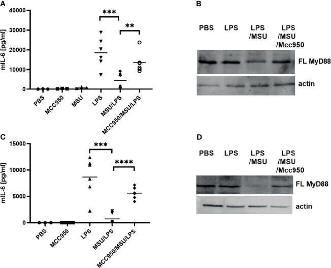 Figure 6