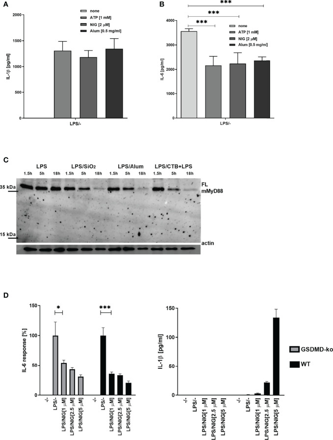 Figure 4