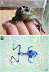 Figure 3-