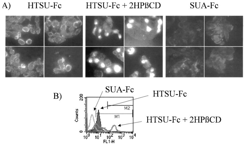 FIG. 3