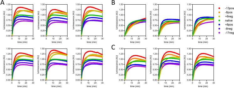 Figure 6—figure supplement 1.