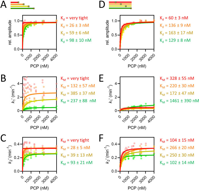 Figure 3—figure supplement 1.