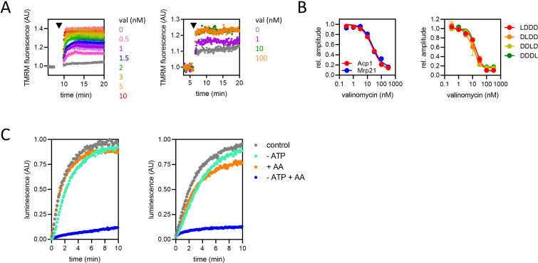 Figure 4—figure supplement 1.