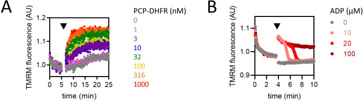 Figure 6—figure supplement 2.