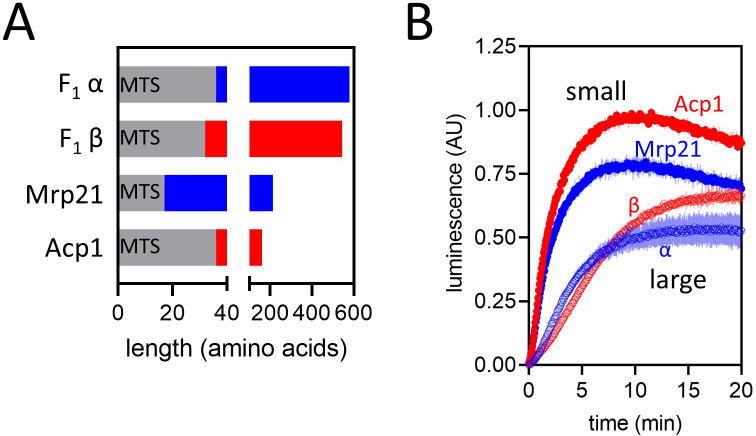 Figure 7.